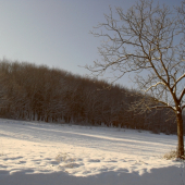 Hôrka za dedinou...