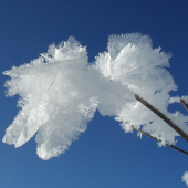 Čo dokáže zima...