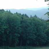 Ing. Králikova prechodná adresa: Zaháj