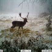 Šťastné a veselé sviatky :-))) !!!!!!