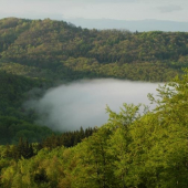 Jarná hmla po búrke