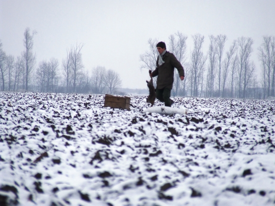 ešte nedávno sme aj my chytaly zajace