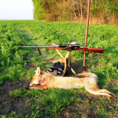 výsledok rannej obchádzky