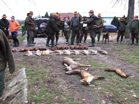 tento je moj kohút ....