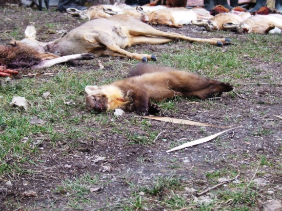 posledný odpočinok pred cestou na večné loviská