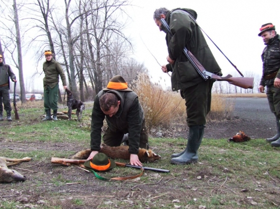 pasovanie za lovca líšok