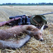 výsledok rannej posliedky