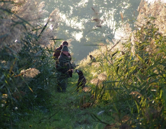 pred večerným ťahom....