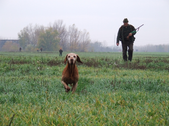 ešte stále aktívny ....