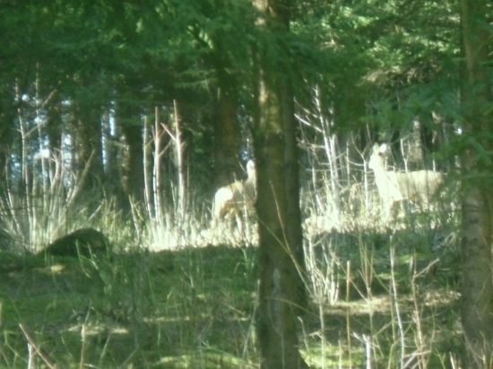 Na slniečku  :)