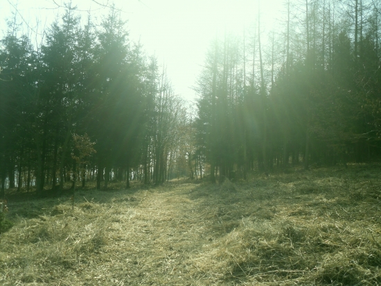 slniečko