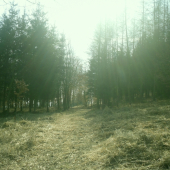 slniečko