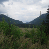 Maníny