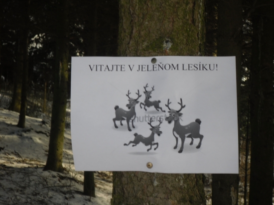 Čo človek nenájde ...