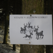 Čo človek nenájde ...