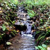 Čas