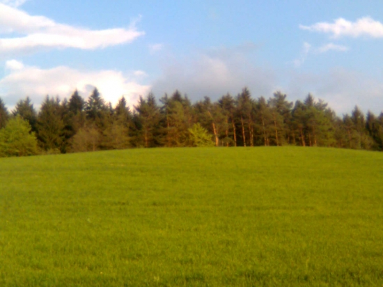 Spomienka na leto