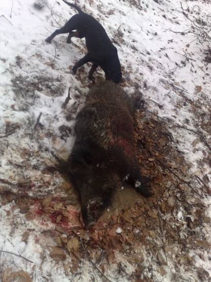 výsledok práce kopova...