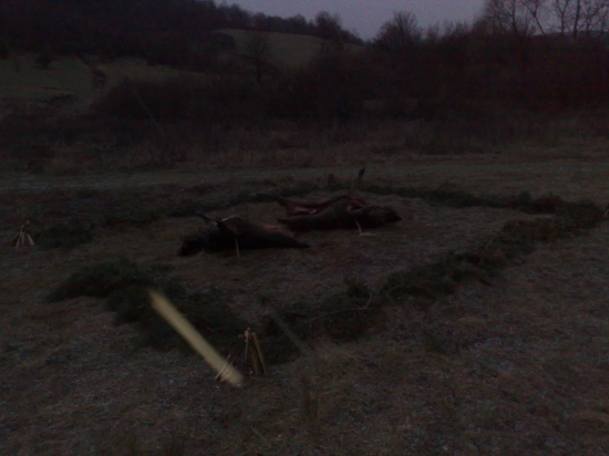 výrad po spoločnej poľovačke