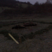 výrad po spoločnej poľovačke