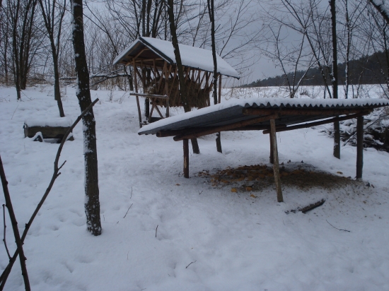 moja kŕmna linka....