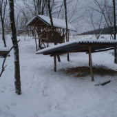 moja kŕmna linka....