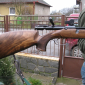 pazba na schonauer manlicher