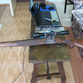 Celopazbena gulobrokova kozlica UB