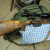 Pažba na Saueri 202 Clasic