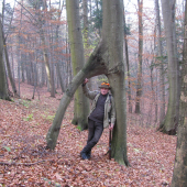 Vitazny obluk