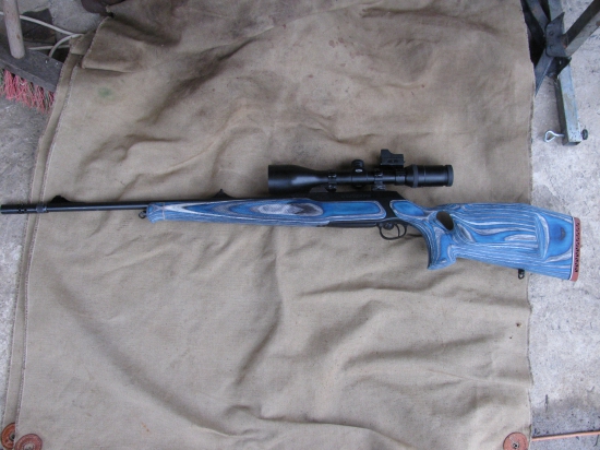Sauer 202