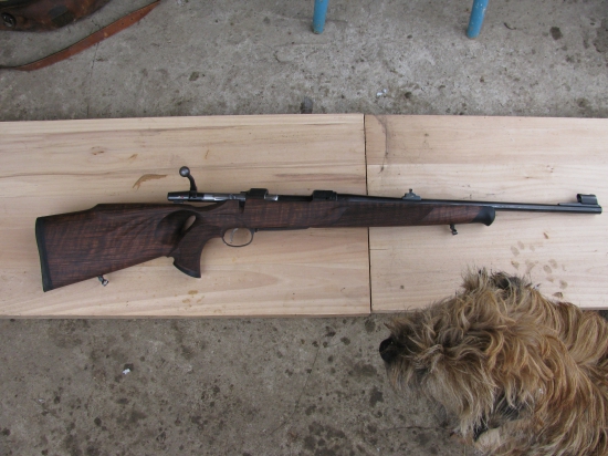 CZ 550
