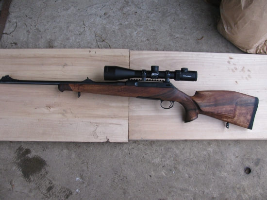Sauer 100