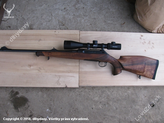 Sauer 100