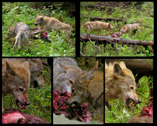 Kto zaváha nežerie 2