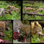 Kto zaváha nežerie 2