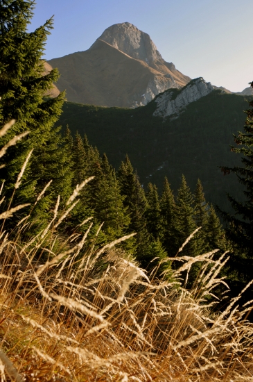 Ždiarska vidla