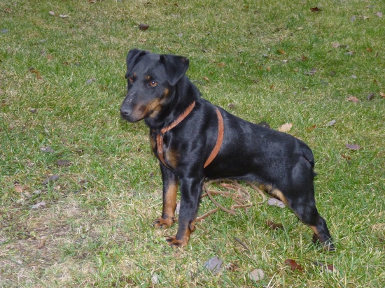 Naše bilancovanie skúšok roku 2011