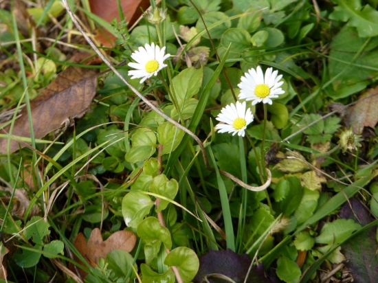 Všetko najlepšie k MDŽ