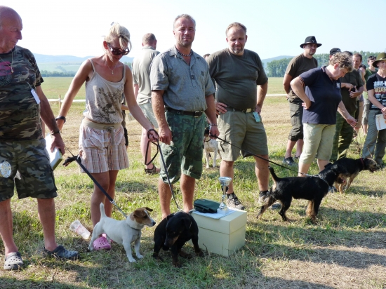 Pán Ivan Pecha a spol. na MSBL