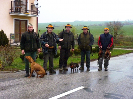 Spoločna na bažanta a škodnú