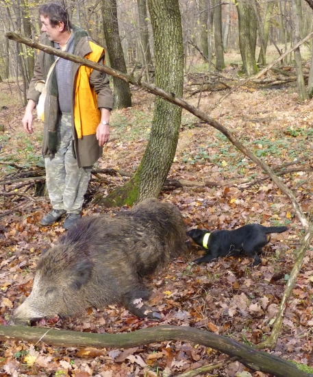 9.mesačná jagoška