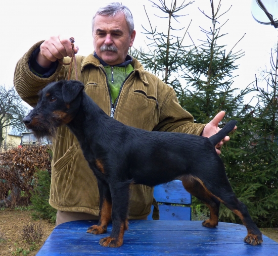 Príprava na výstavu v Trenčíne.