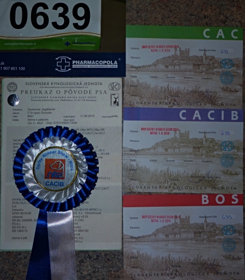 Dnes sme vyhrali čo sa dalo.