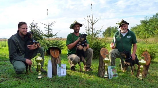 Medzinárodné všestranné skúšky jagdterieerov