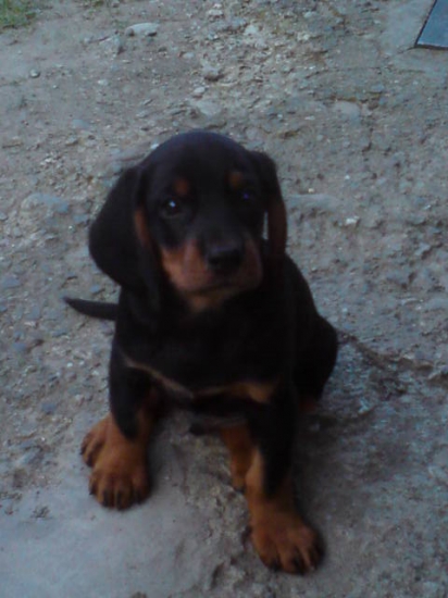 Argo z Hrachovského vršku