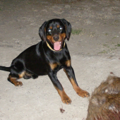 Argo