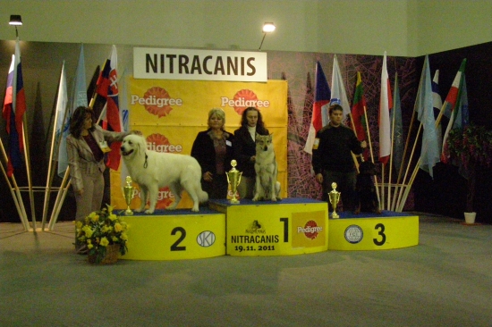 Argo z Hrachovskeho vrsku