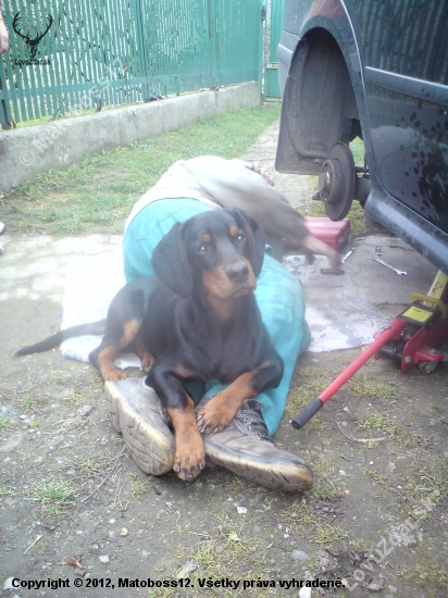 Argo