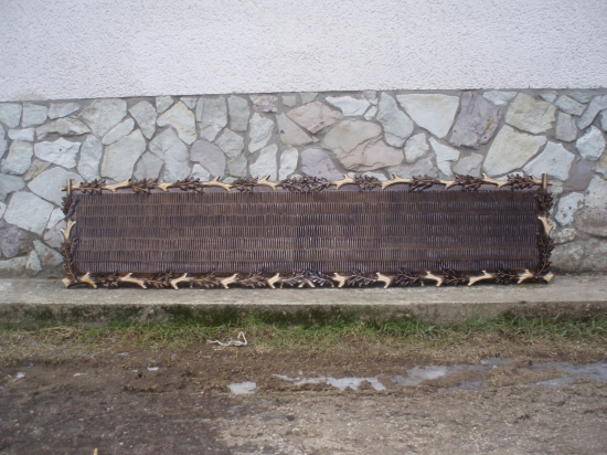 abnormalna polozka pod vela srnsov